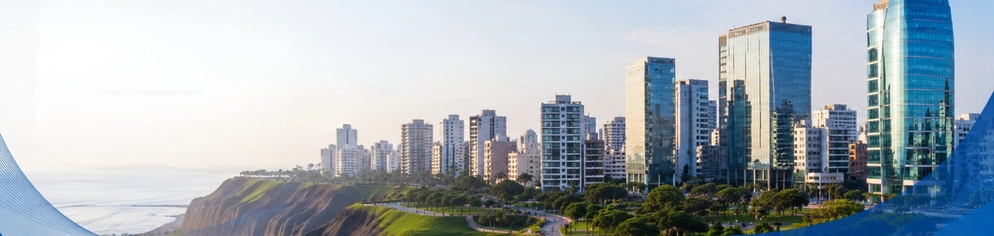 Software empresarial ERP en Perú 